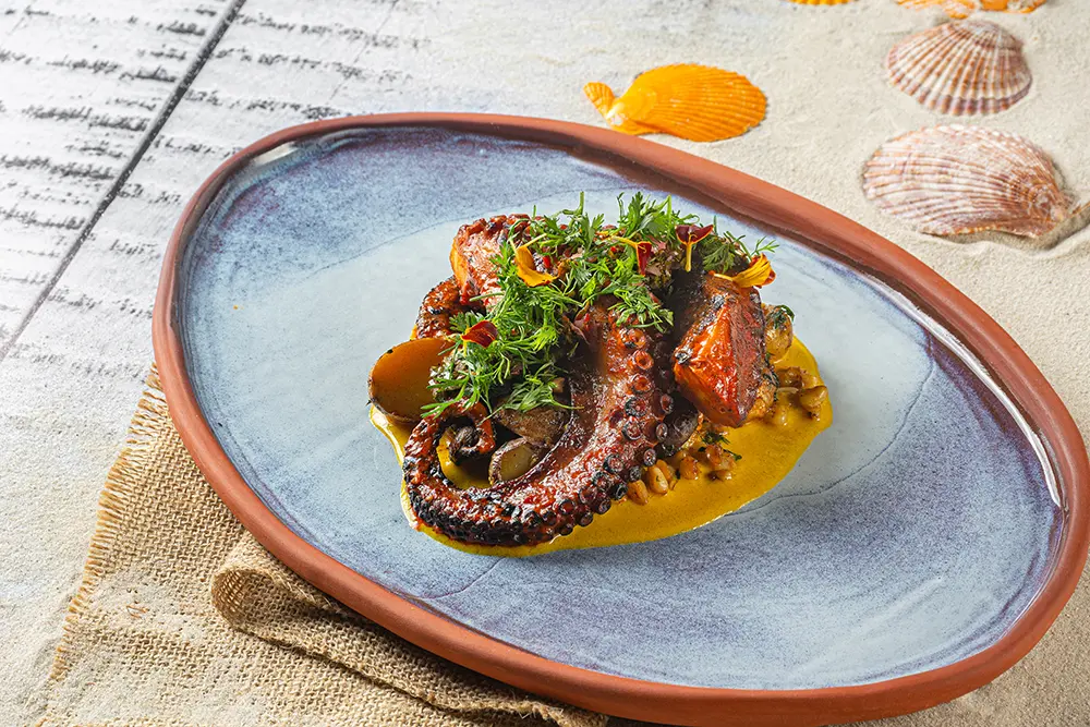 Pulpo anticuchero
